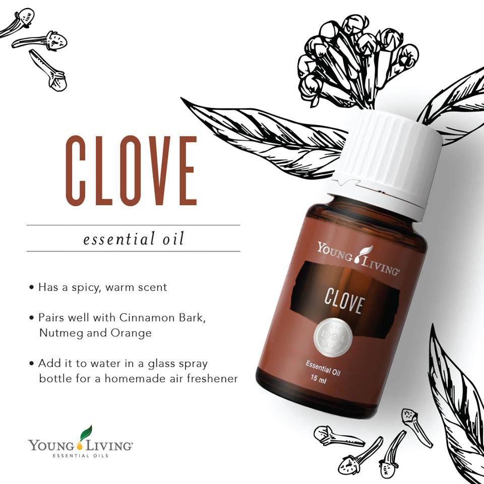 Young Living Clove Essential Oil 15 ml