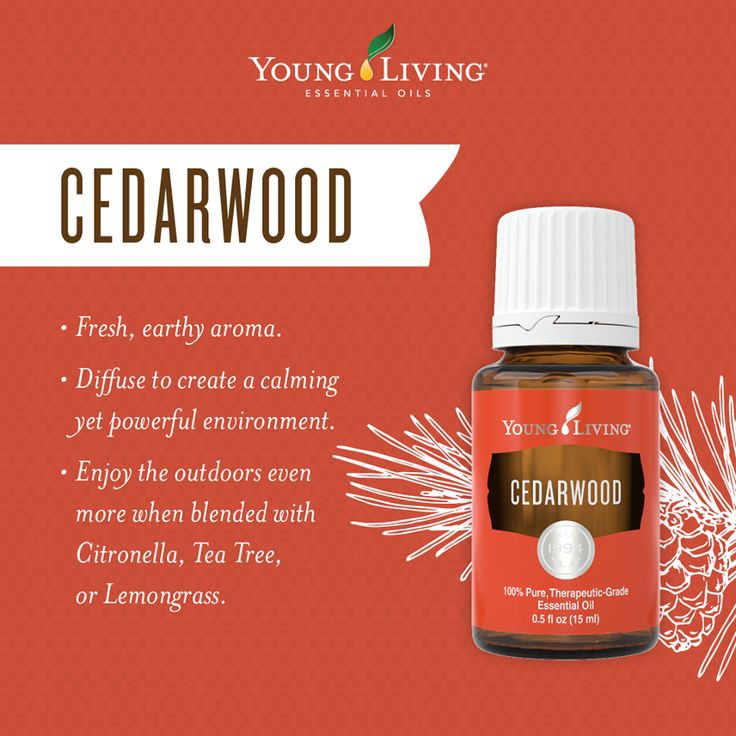 Young Living Cedarwood Essential Oil Singles 15ml For 1x Bottle