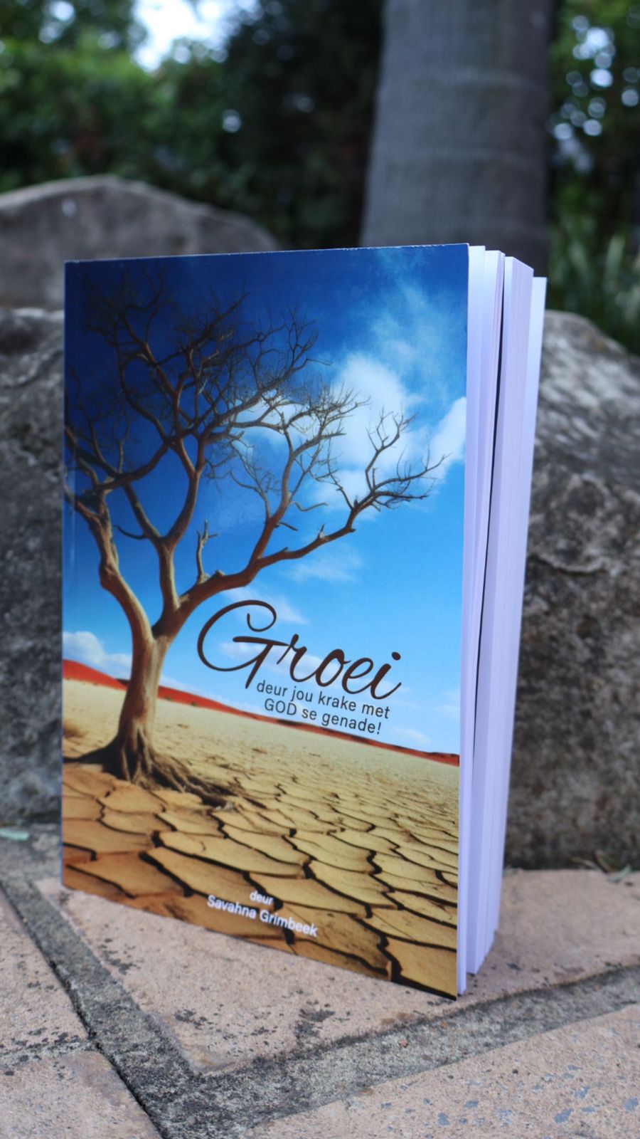 DAGBOEKE 2025